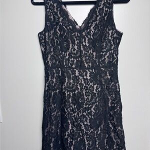 Loft Black Lace Mini Dress